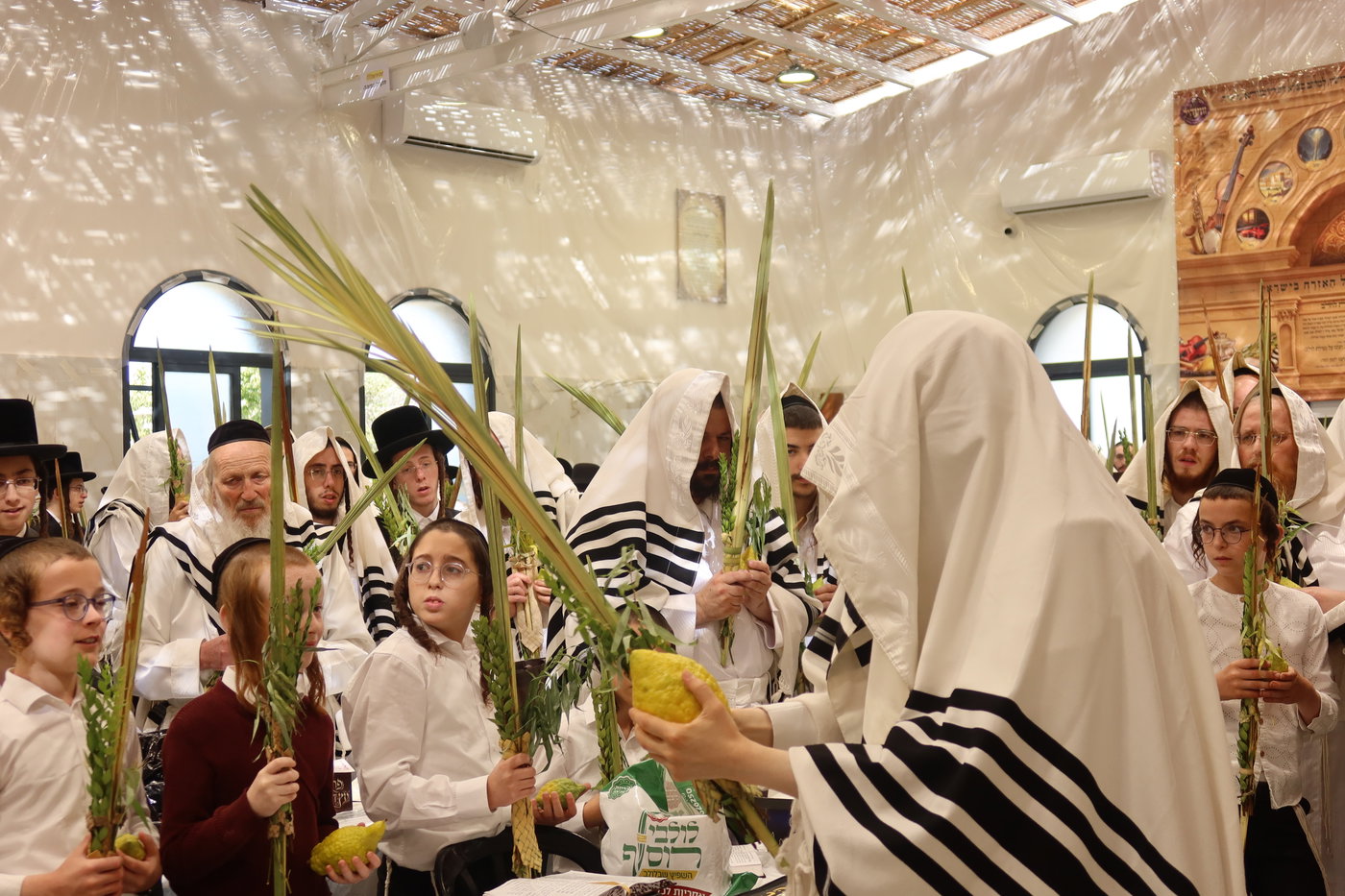 ירח האיתנים בחצה"ק זוועהיל