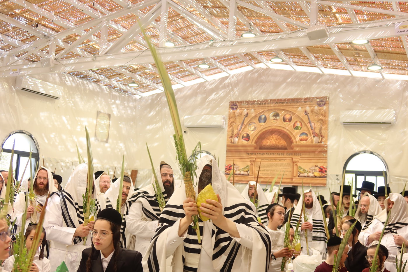 ירח האיתנים בחצה"ק זוועהיל
