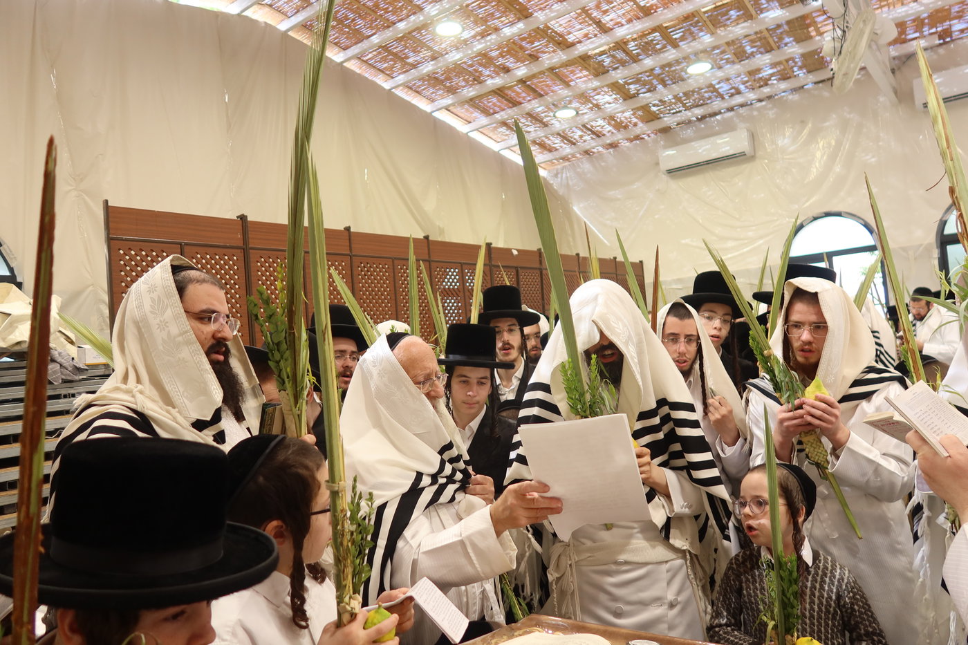 ירח האיתנים בחצה"ק זוועהיל