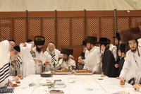 ירח האיתנים בחצה"ק זוועהיל