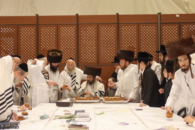 ירח האיתנים בחצה"ק זוועהיל