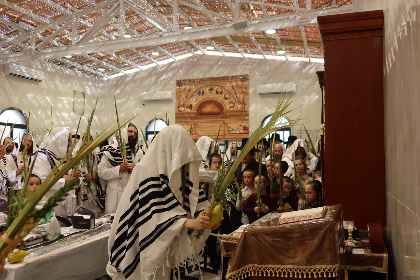 ירח האיתנים בחצה"ק זוועהיל