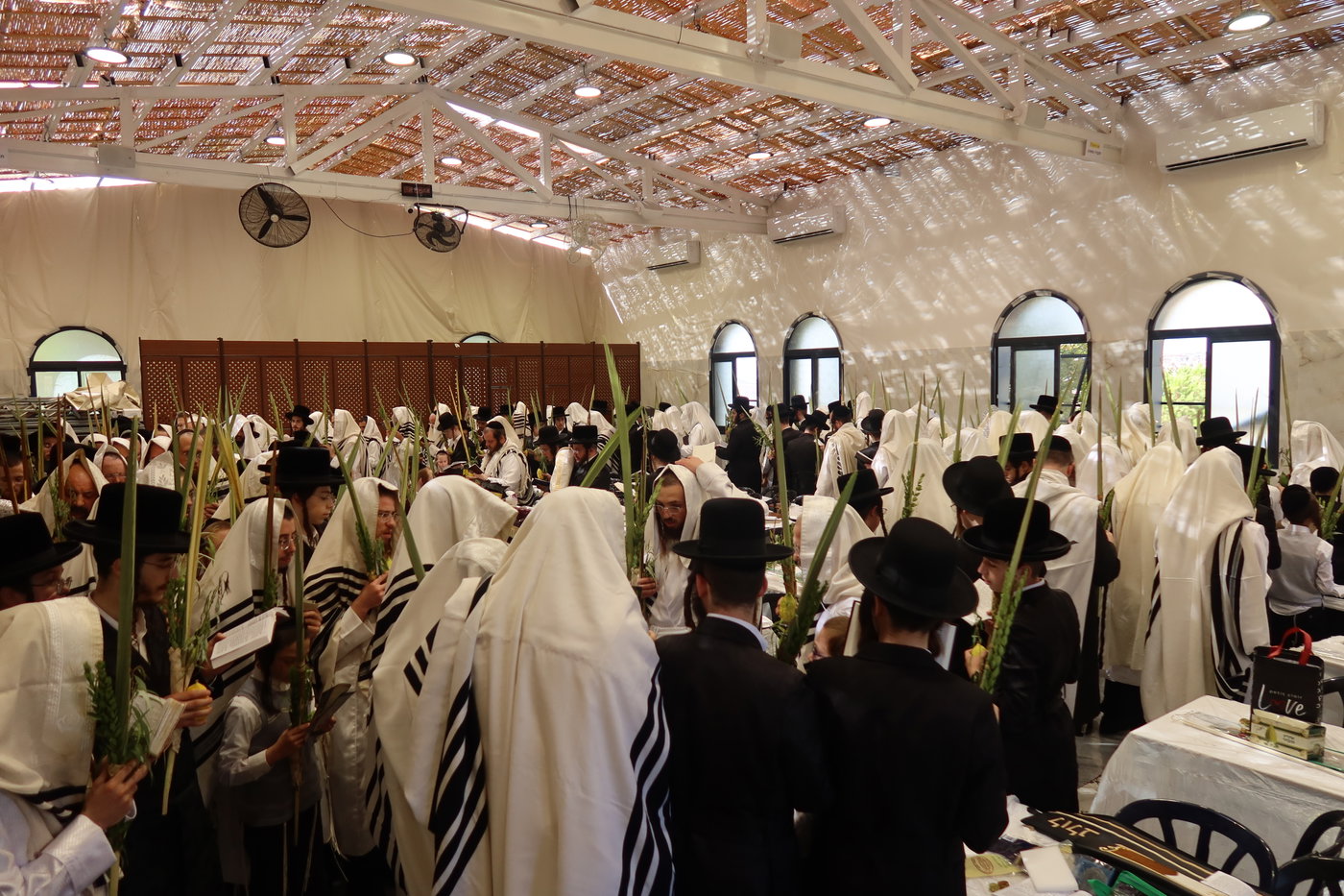 ירח האיתנים בחצה"ק זוועהיל