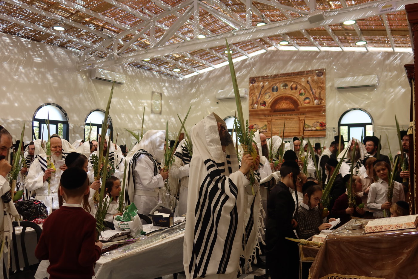 ירח האיתנים בחצה"ק זוועהיל