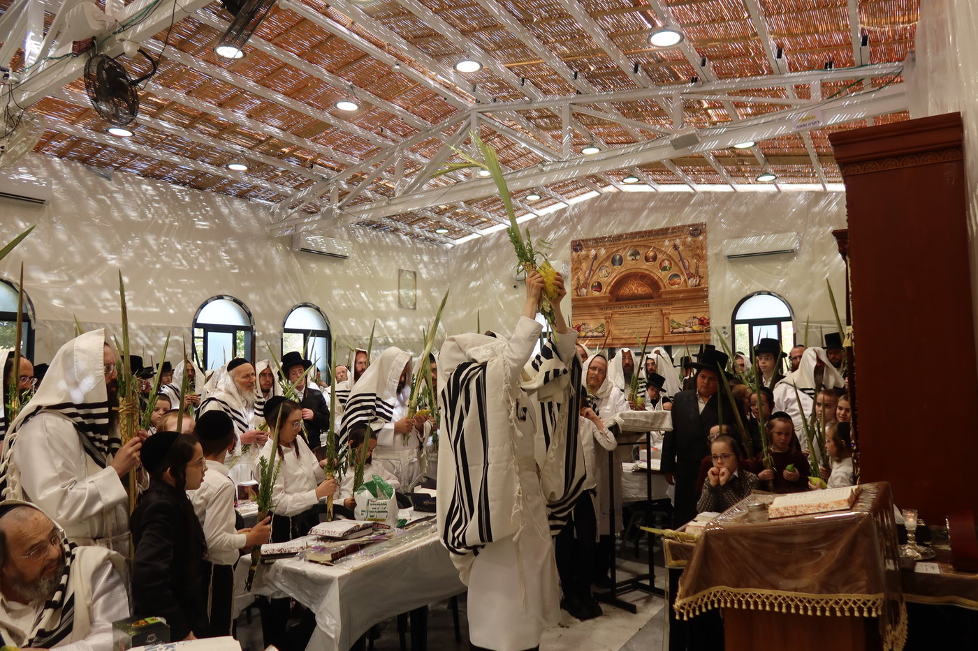 ירח האיתנים בחצה"ק זוועהיל