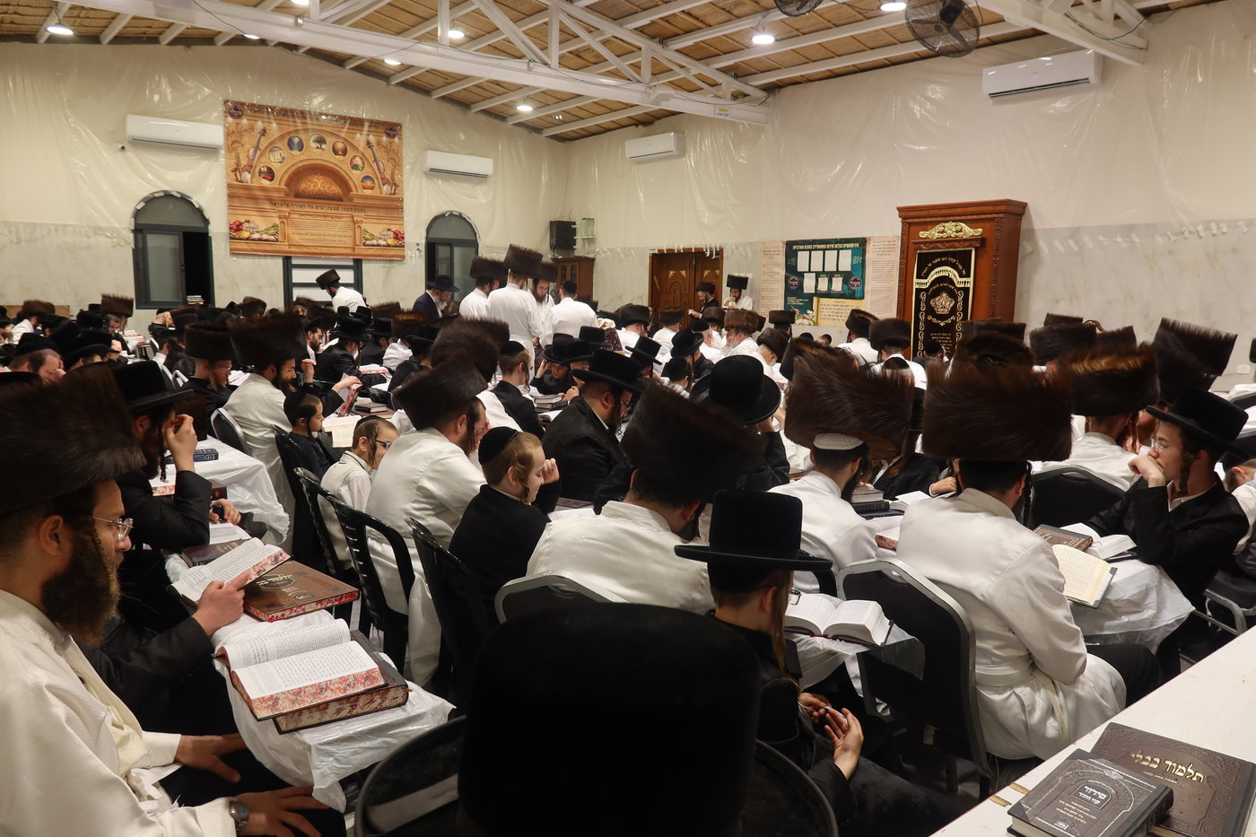 ירח האיתנים בחצה"ק זוועהיל