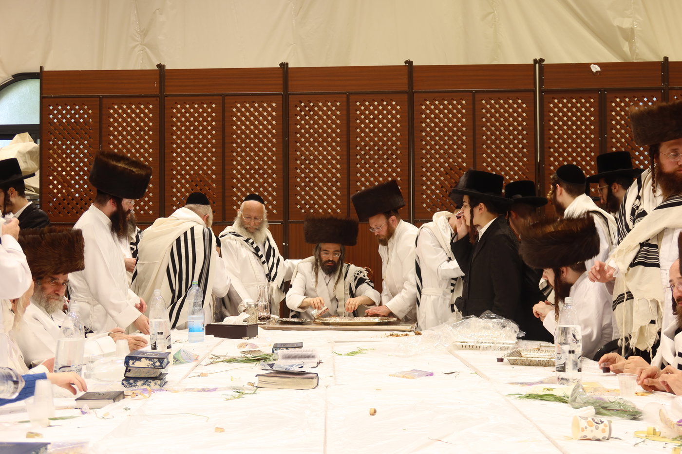ירח האיתנים בחצה"ק זוועהיל