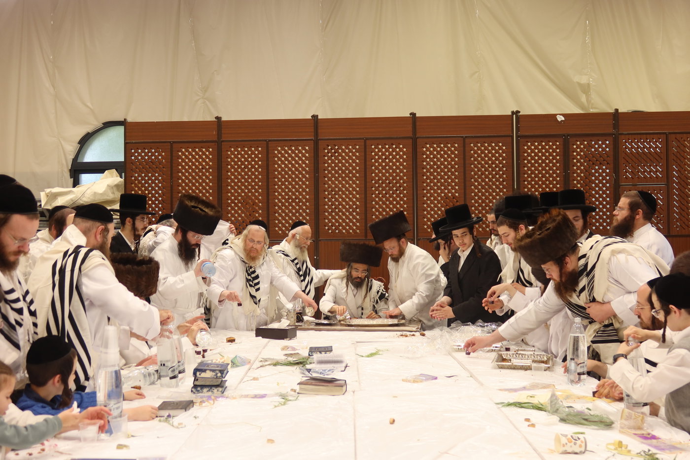 ירח האיתנים בחצה"ק זוועהיל