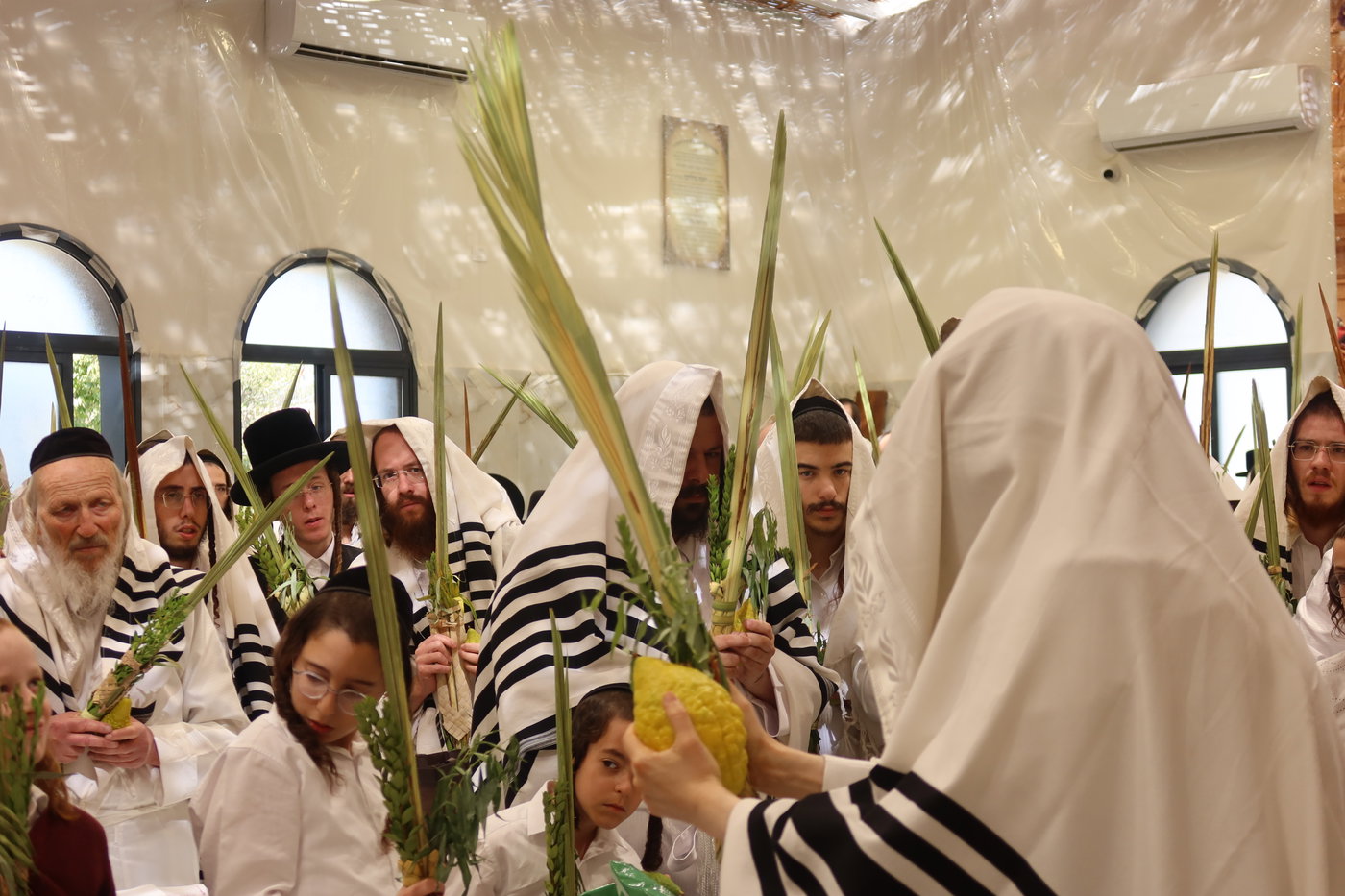 ירח האיתנים בחצה"ק זוועהיל