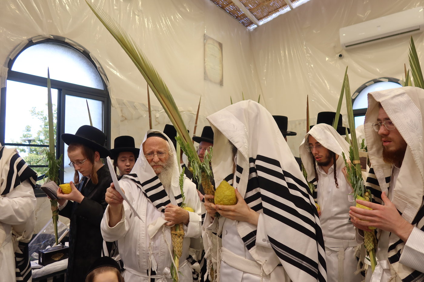 ירח האיתנים בחצה"ק זוועהיל