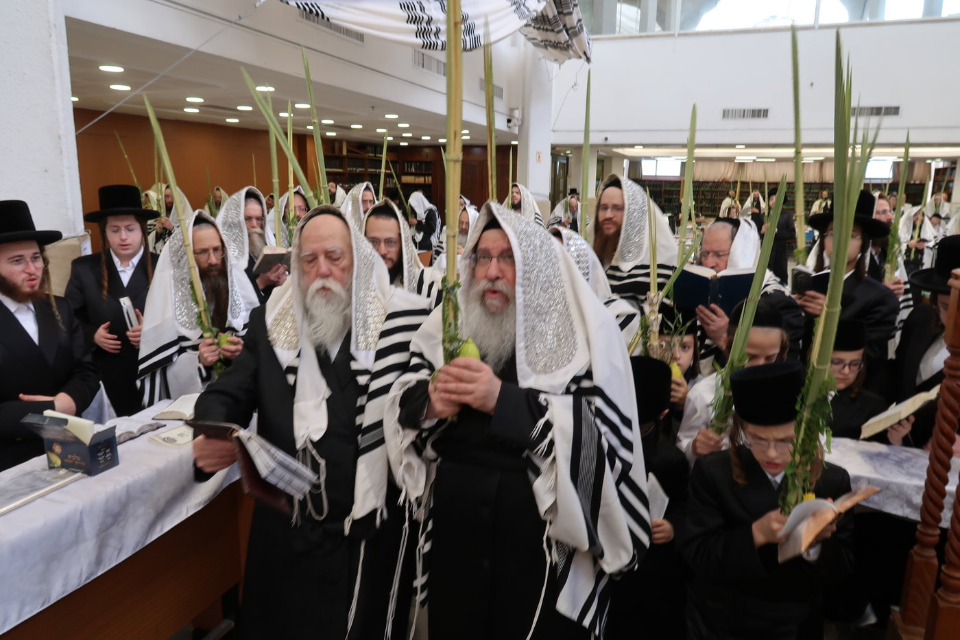 ירח האיתנים בחצה"ק נדבורנה