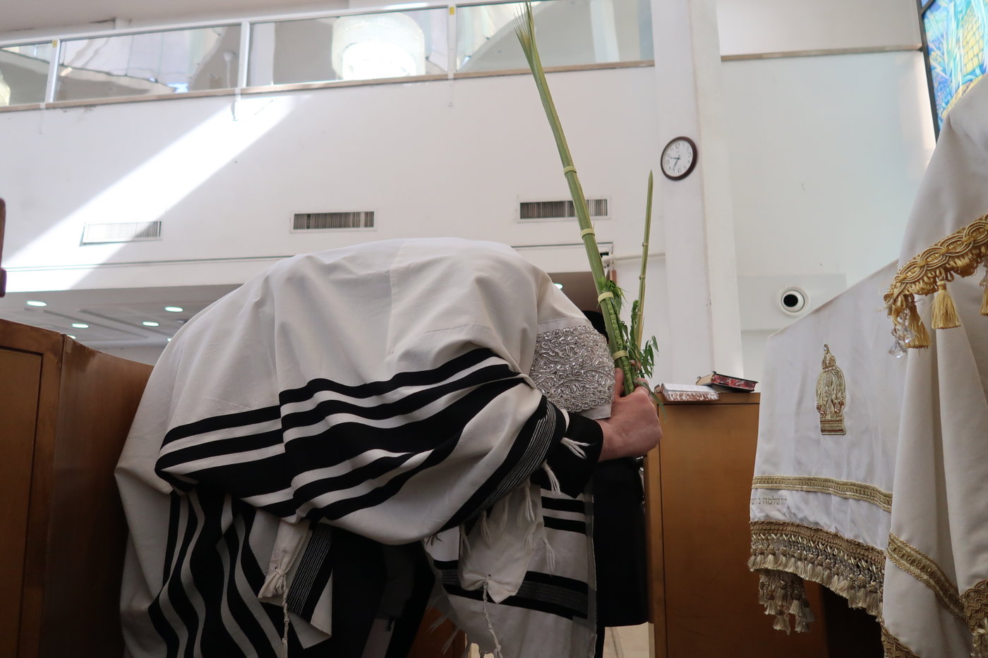 ירח האיתנים בחצה"ק נדבורנה
