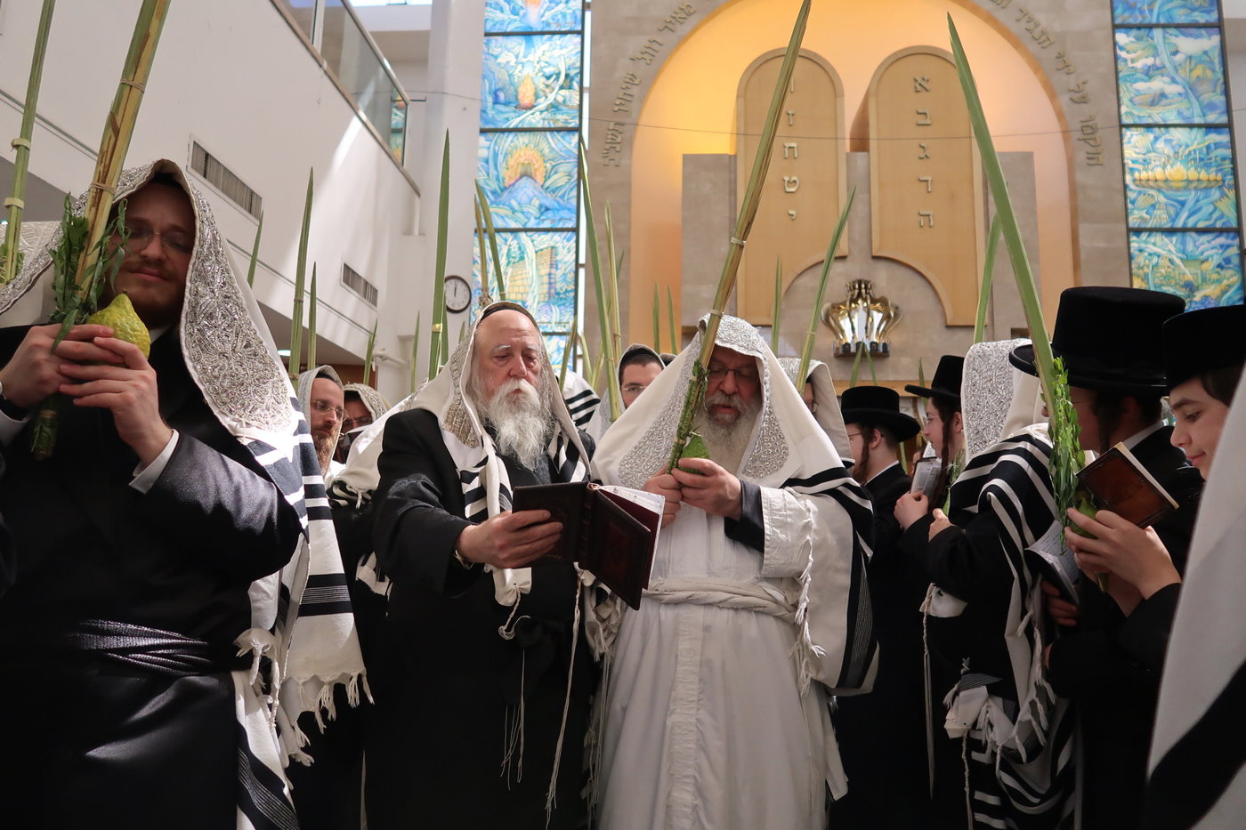 ירח האיתנים בחצה"ק נדבורנה
