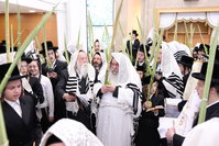 ירח האיתנים בחצה"ק נדבורנה