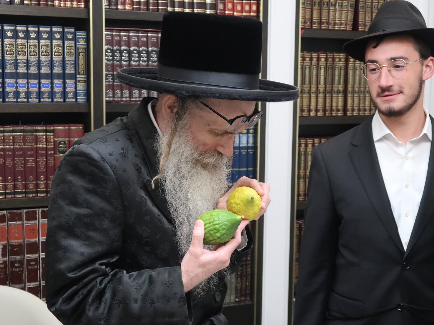 ימי החג בחצה"ק צאנז זוועהיל