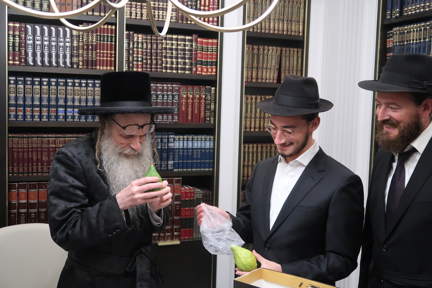 ימי החג בחצה"ק צאנז זוועהיל