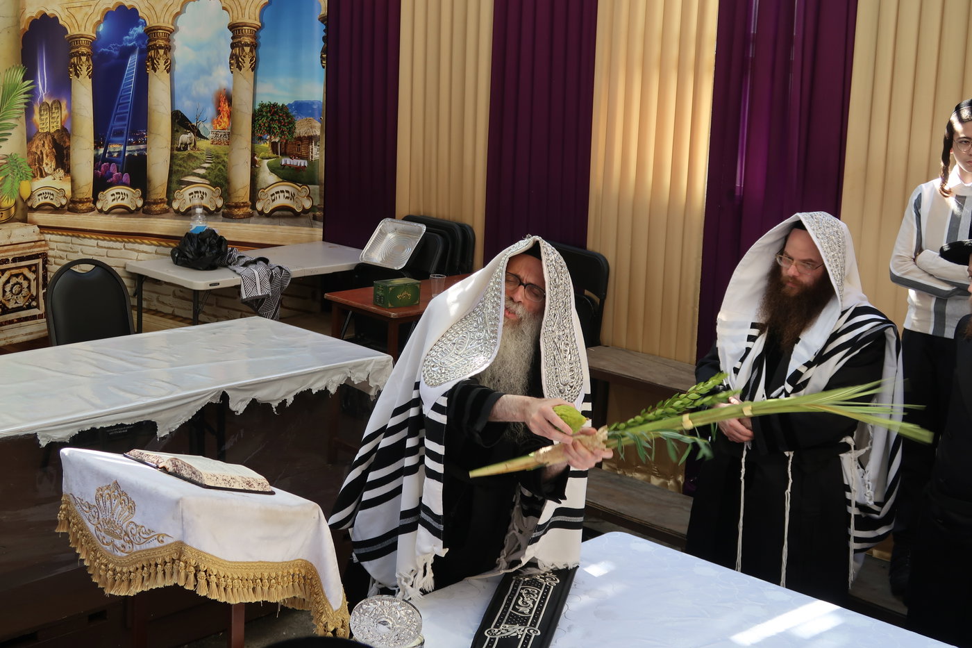 ימי החג בחצה"ק צאנז זוועהיל