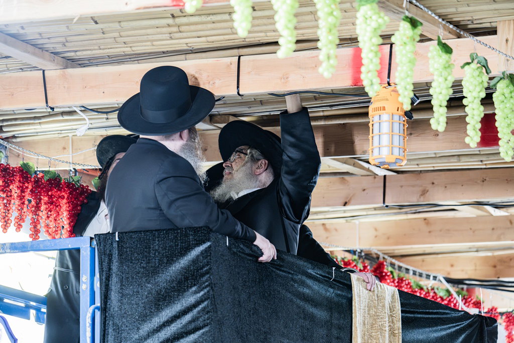 האדמו"ר מסאטמר מסכך סוכתו