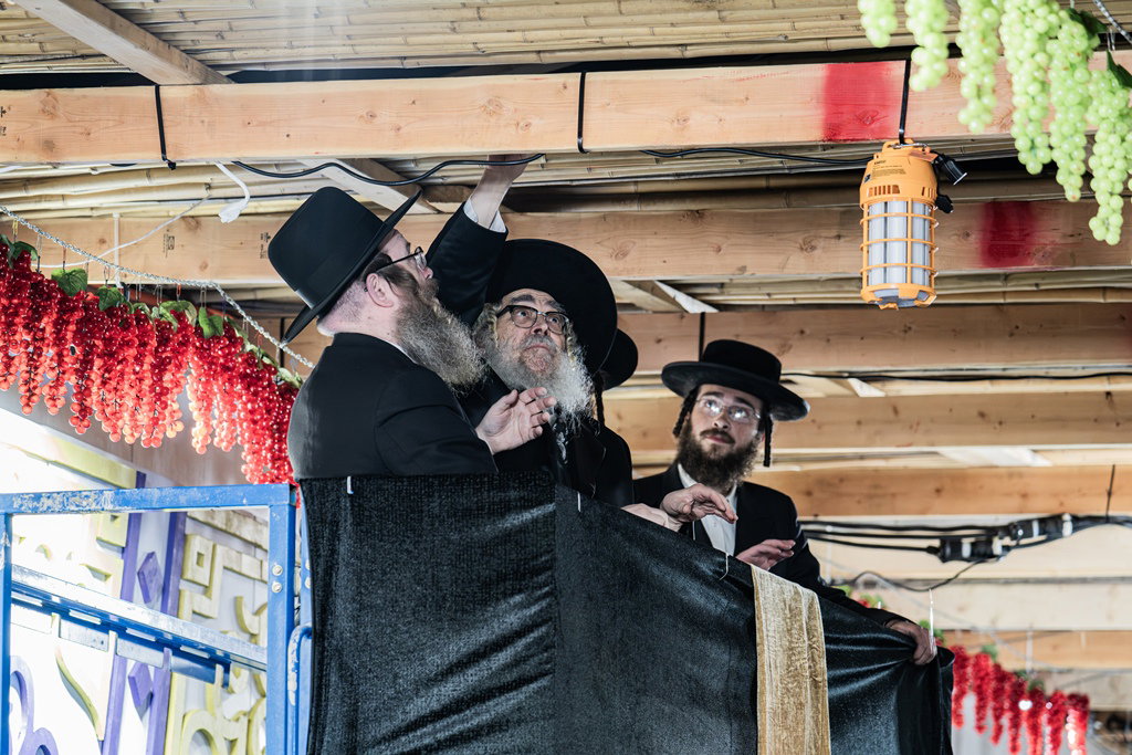 האדמו"ר מסאטמר מסכך סוכתו