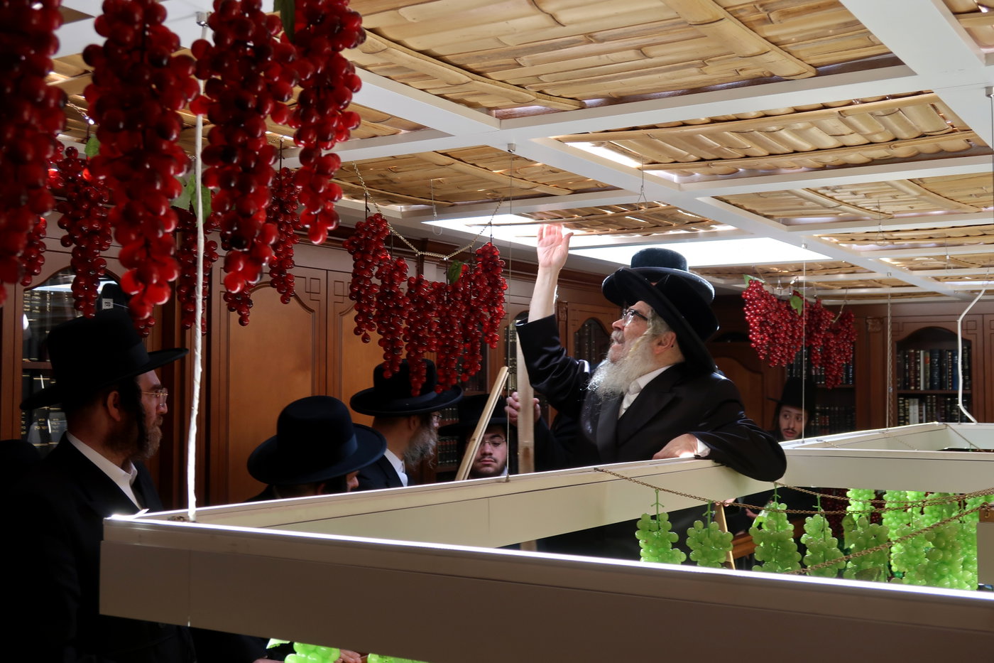 האדמו"ר מסאטמר מסכך סוכתו