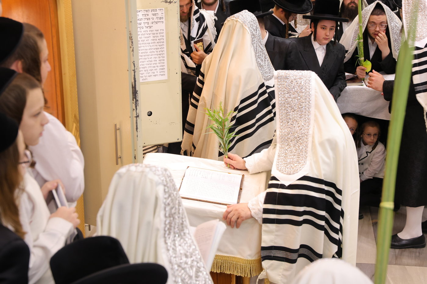 ירח האיתנים בחצה"ק נדבורנה ירושלים