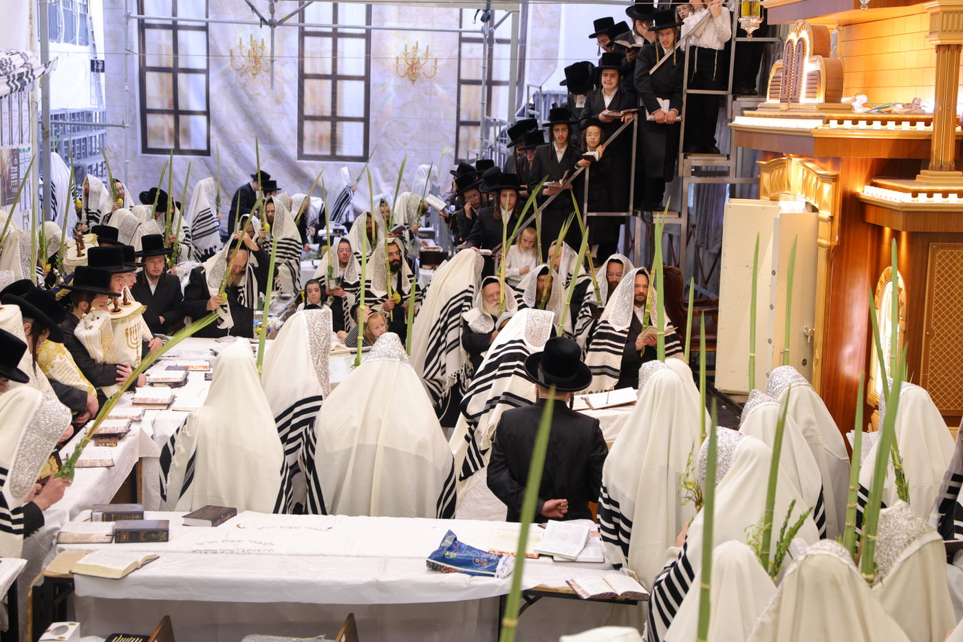 ירח האיתנים בחצה"ק נדבורנה ירושלים