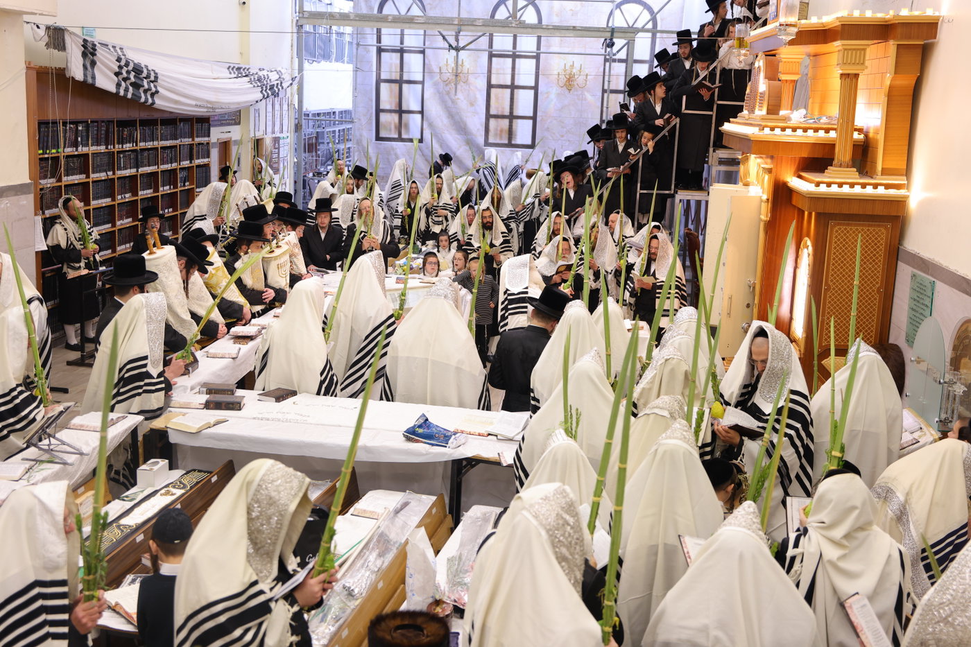 ירח האיתנים בחצה"ק נדבורנה ירושלים
