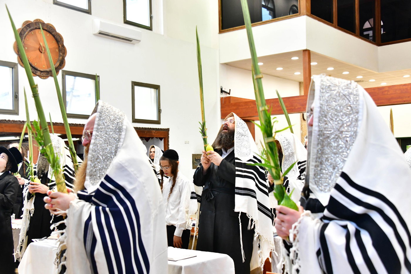 האדמו"ר מפרמישלאן בנענועים