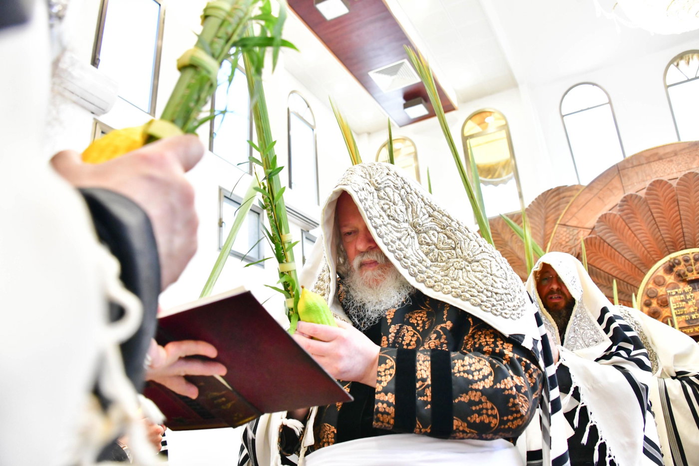 האדמו"ר מפרמישלאן בנענועים