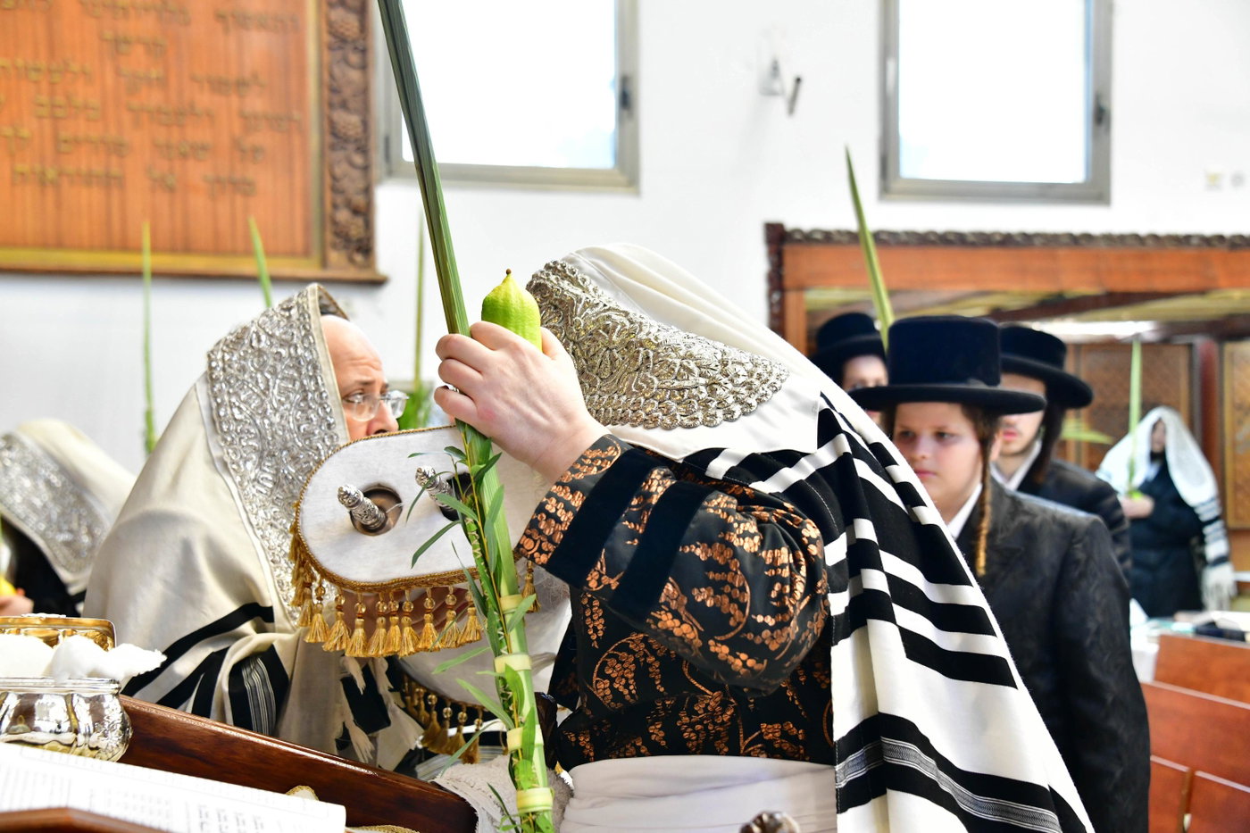 האדמו"ר מפרמישלאן בנענועים