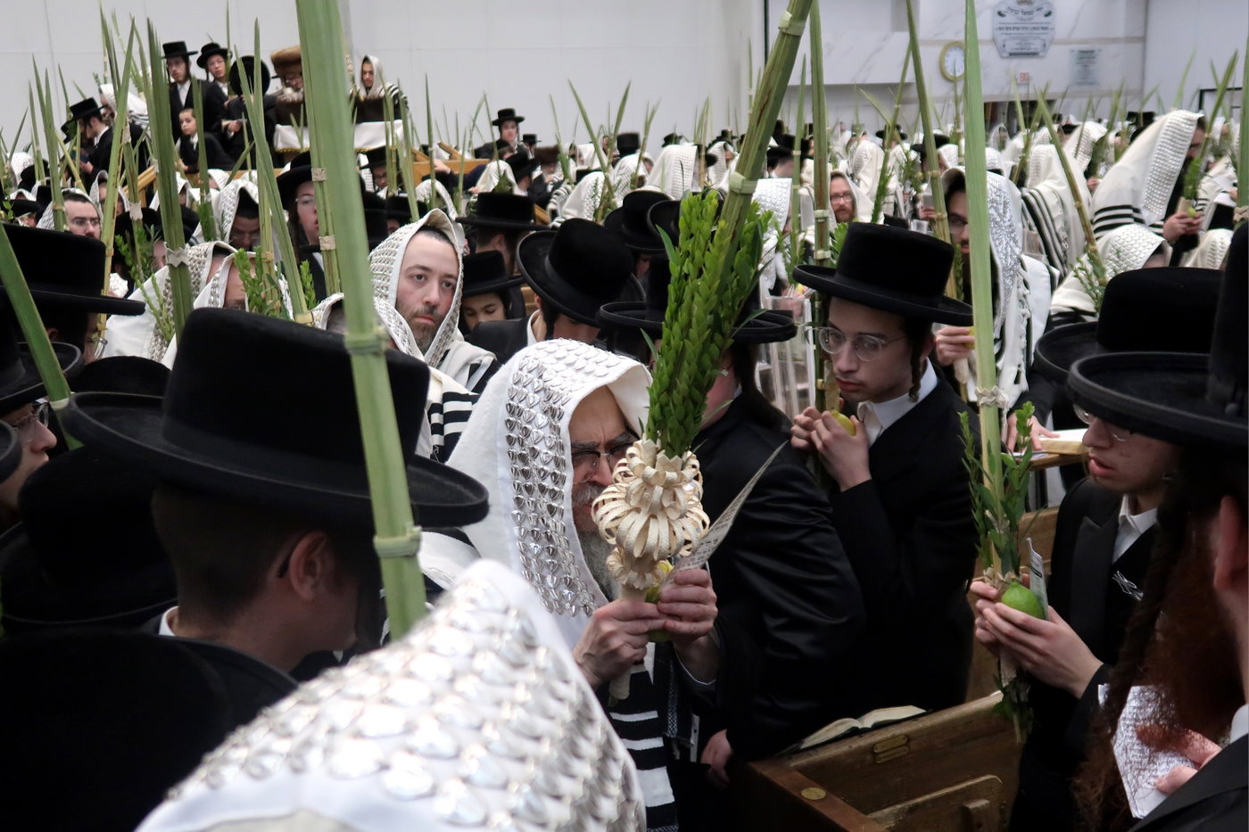 האדמו"ר מסאטמר בעבודת הנענועים