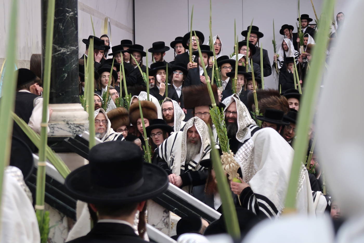 האדמו"ר מסאטמר בעבודת הנענועים