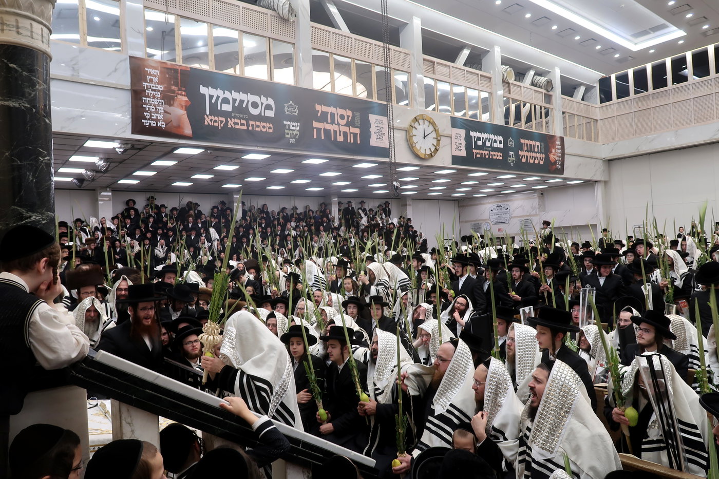 האדמו"ר מסאטמר בעבודת הנענועים