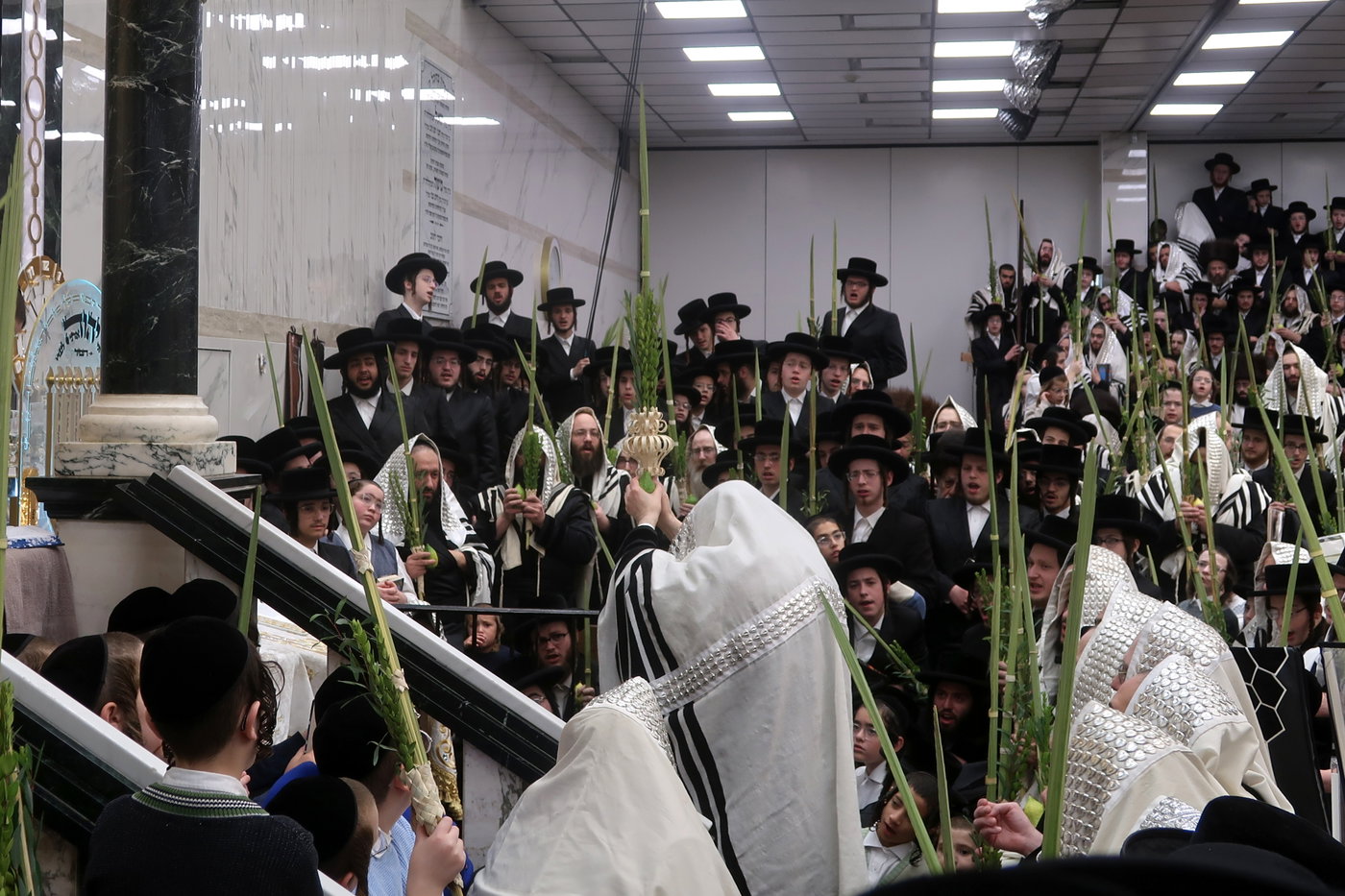 האדמו"ר מסאטמר בעבודת הנענועים