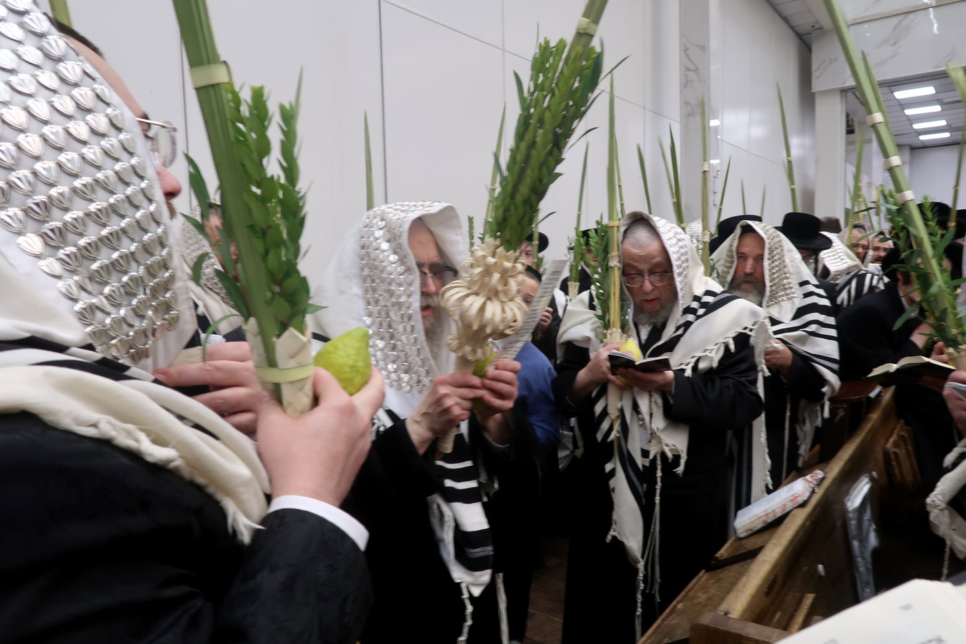 האדמו"ר מסאטמר בעבודת הנענועים