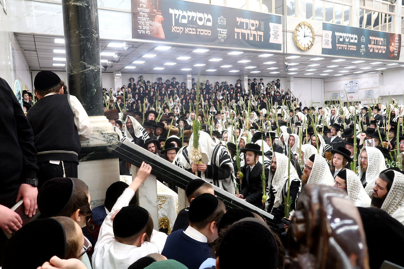 האדמו"ר מסאטמר בעבודת הנענועים