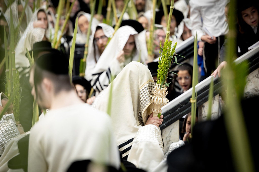 הושענא רבה בחצה"ק סאטמר