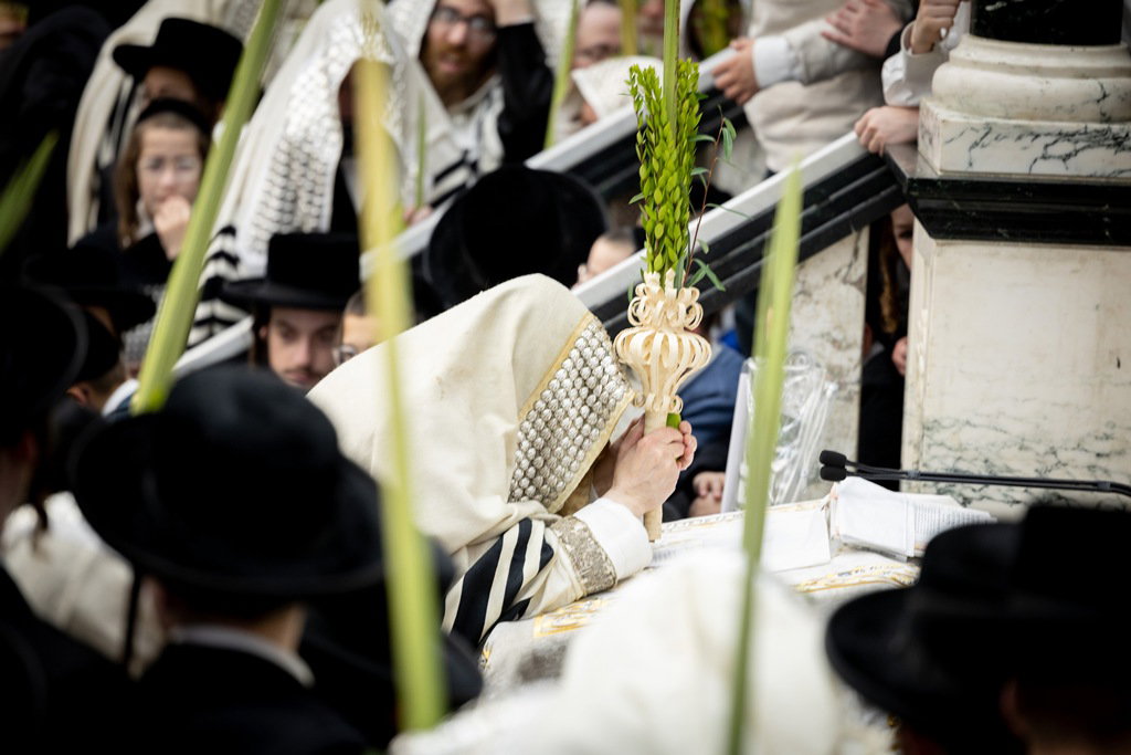 הושענא רבה בחצה"ק סאטמר