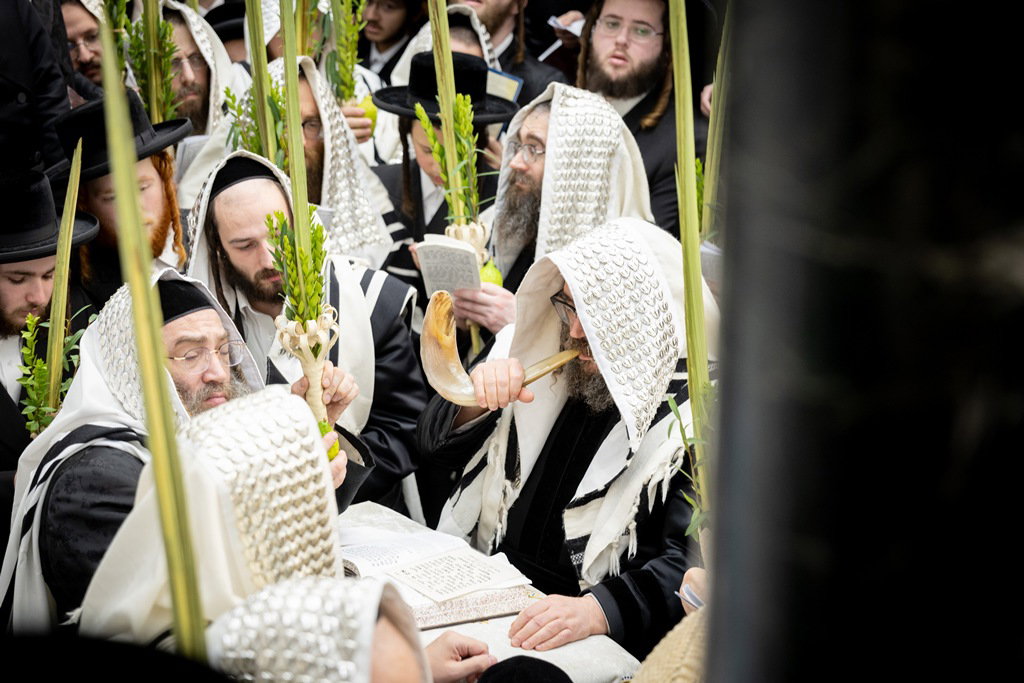 הושענא רבה בחצה"ק סאטמר