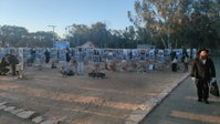 מתחם הנובה: זוכרים את הנרצחים ומניחים תפילין 