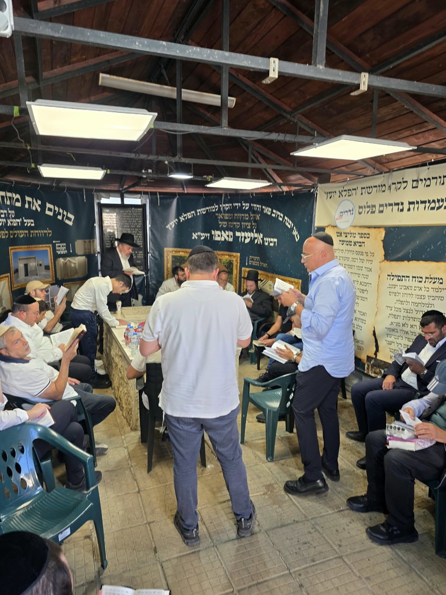 הילולת הפלא יועץ