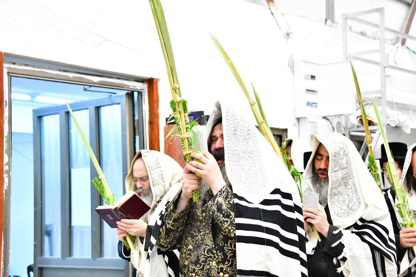 האדמו"ר מזוטשקא בהושענות