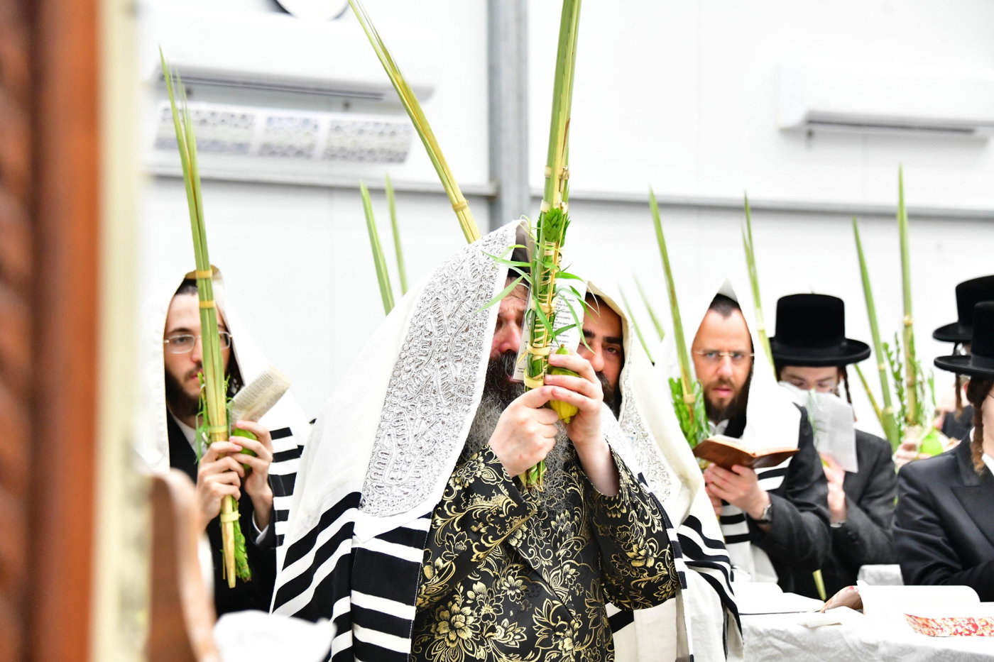 האדמו"ר מזוטשקא בהושענות