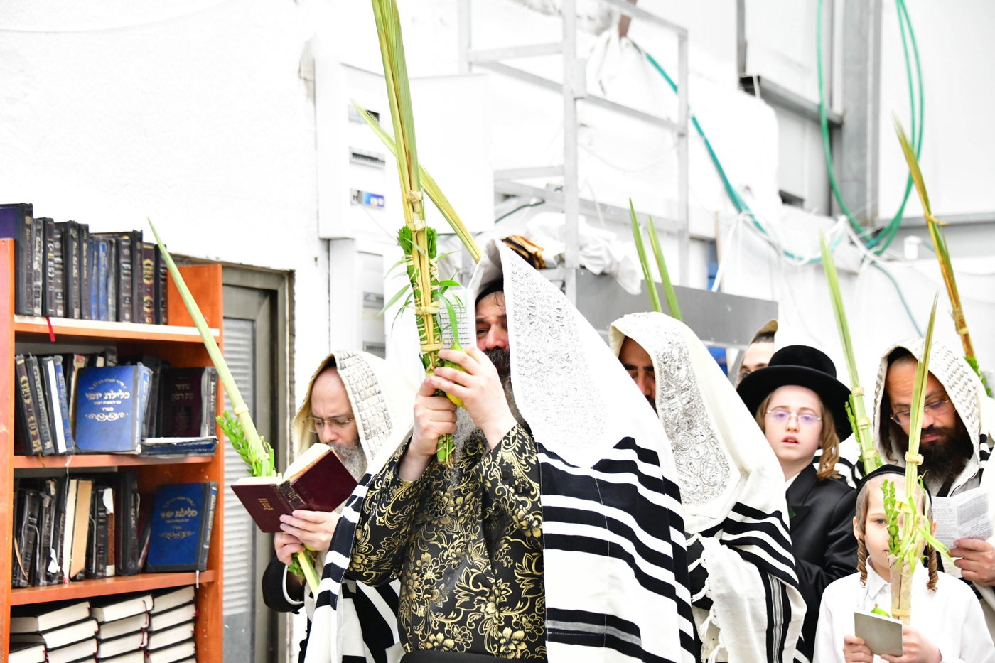 האדמו"ר מזוטשקא בהושענות