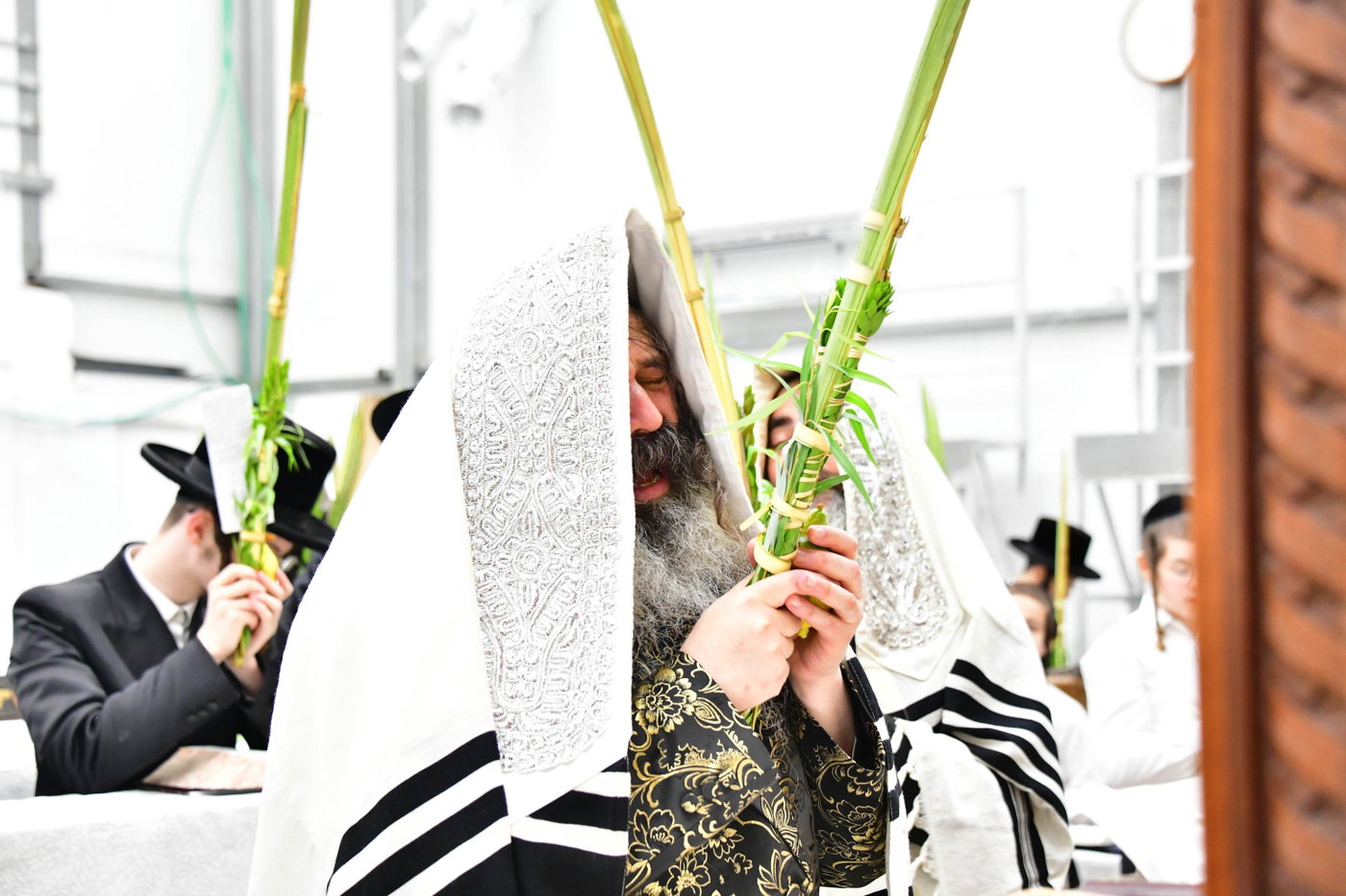 האדמו"ר מזוטשקא בהושענות