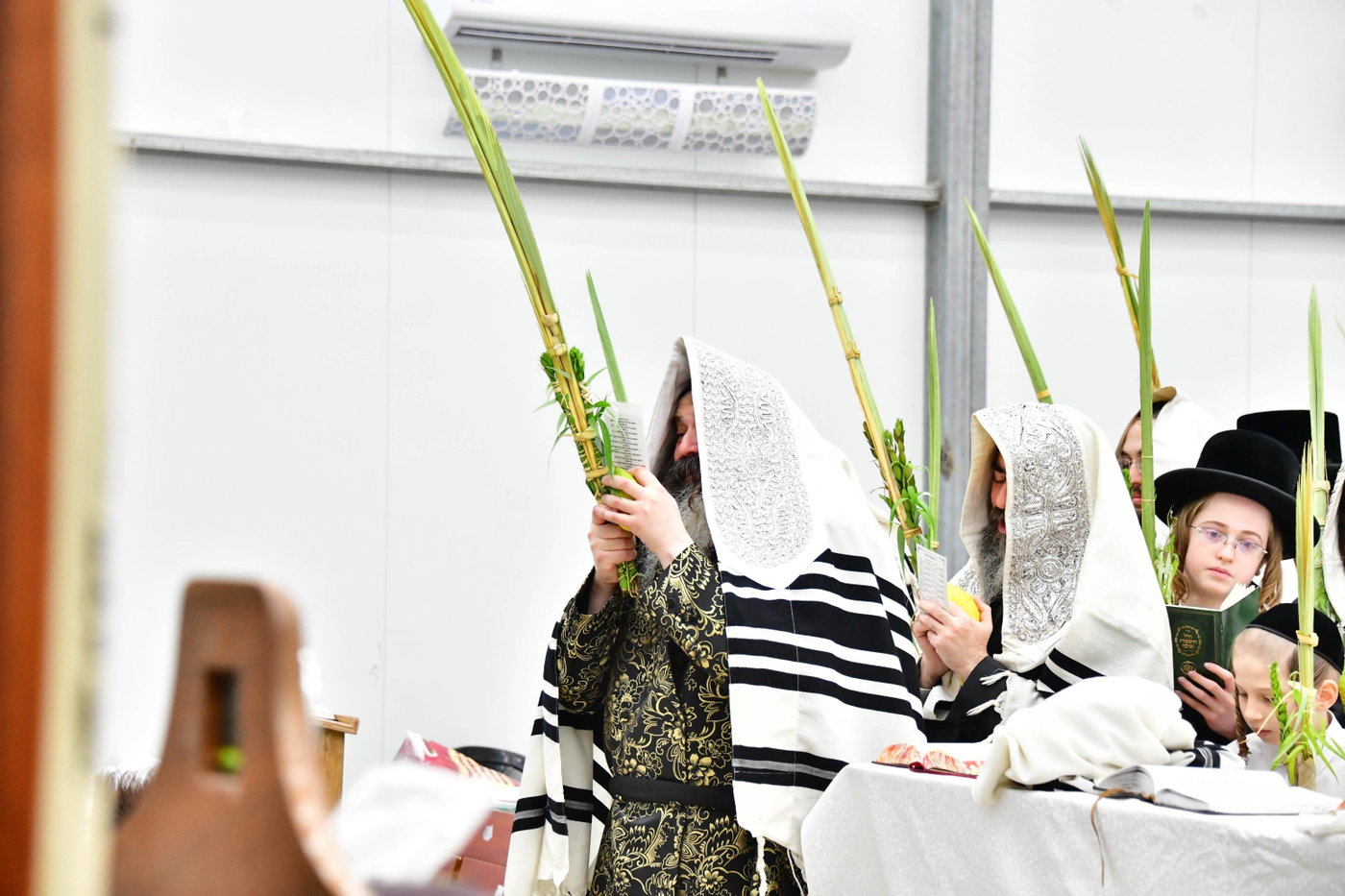 האדמו"ר מזוטשקא בהושענות