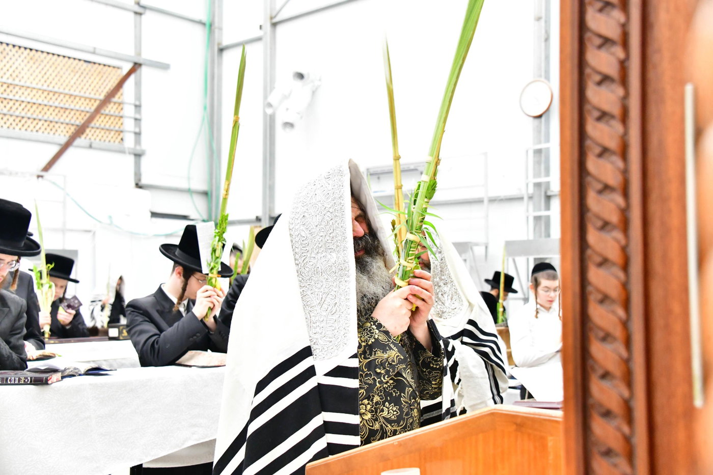 האדמו"ר מזוטשקא בהושענות