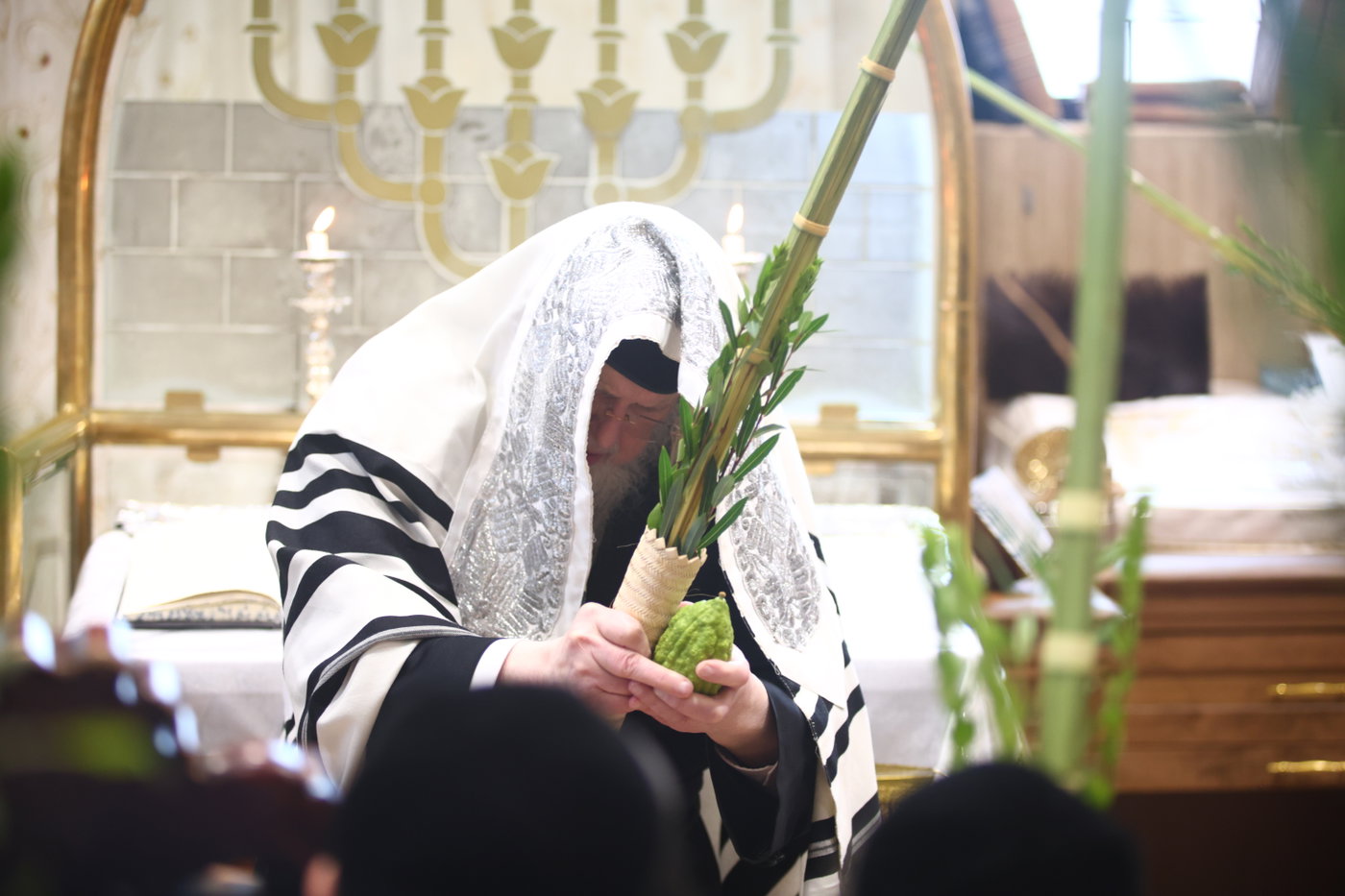 האדמו"ר ממונקאטש בנענועים