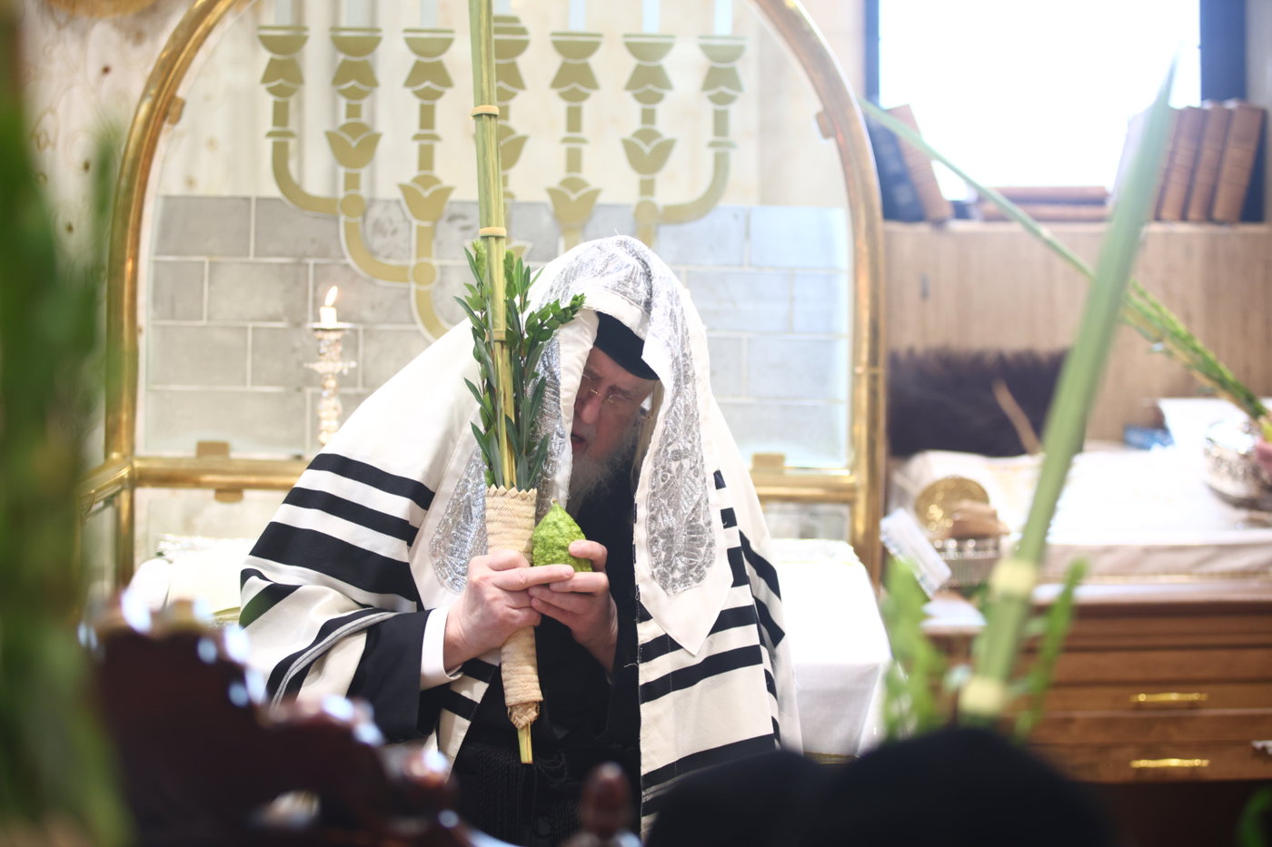 האדמו"ר ממונקאטש בנענועים
