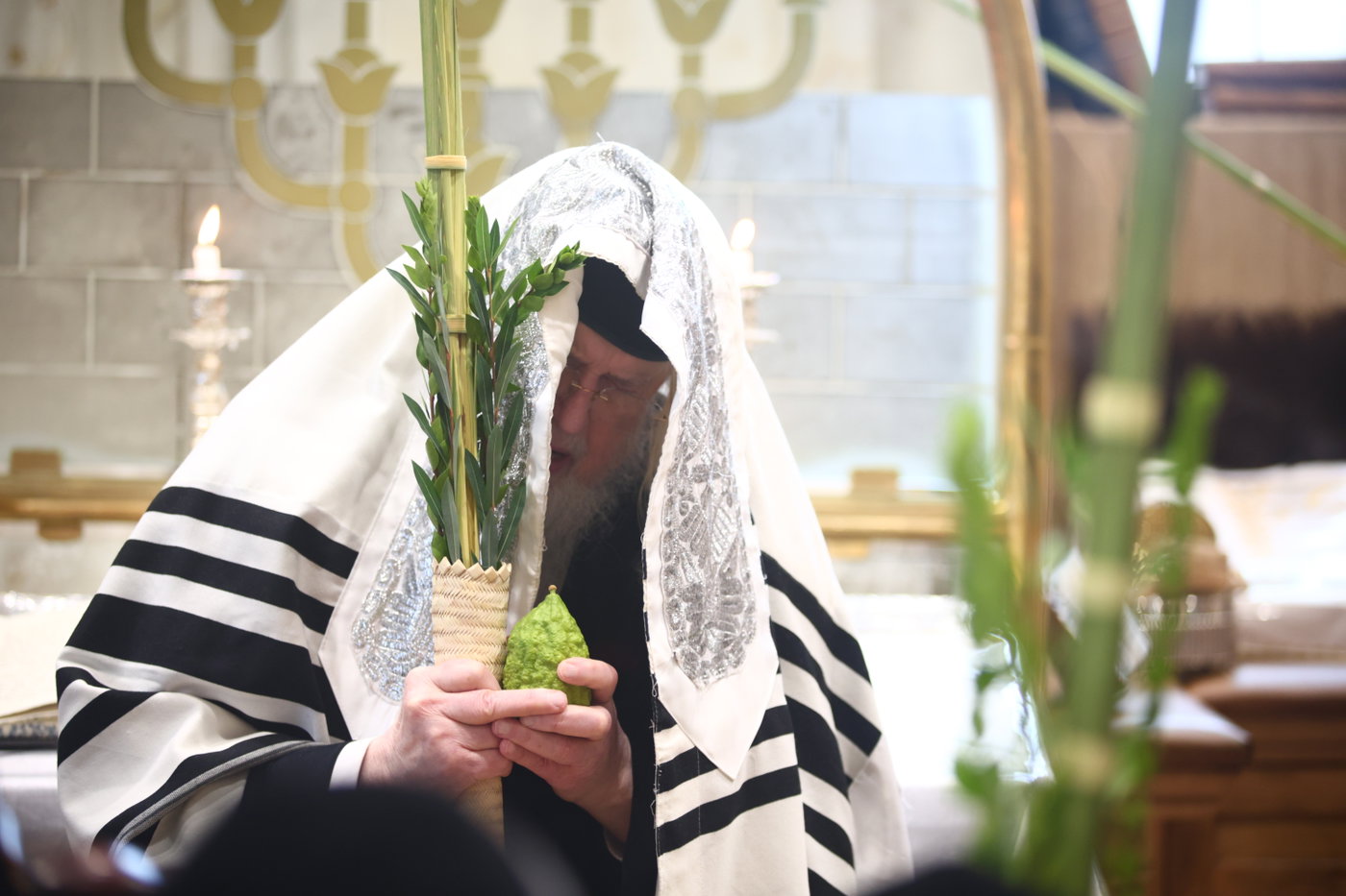 האדמו"ר ממונקאטש בנענועים